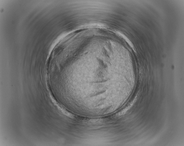 X0000075810989200610151425