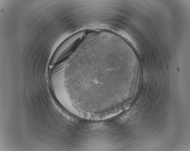 X0000075810990200610151425