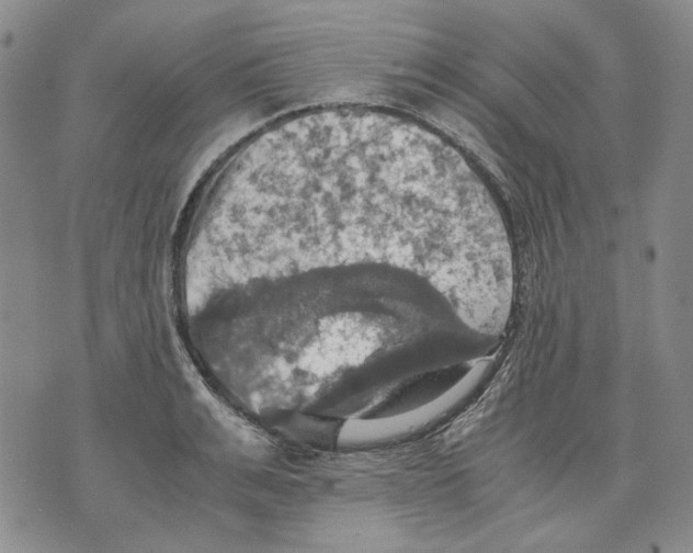 X0000075810991200610151425