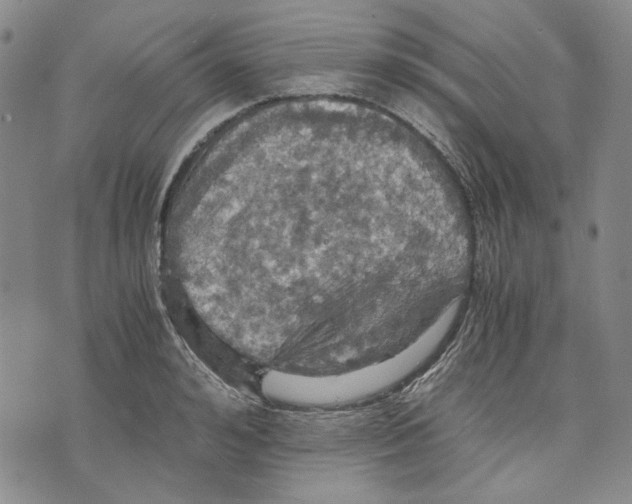 X0000075810992200610151425