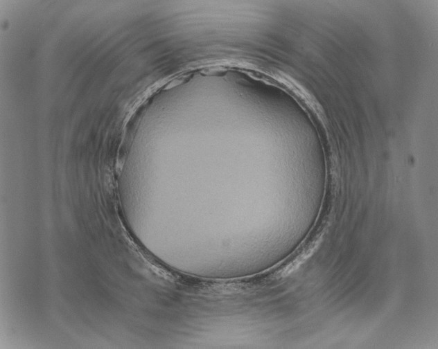 X0000075810993200610151425