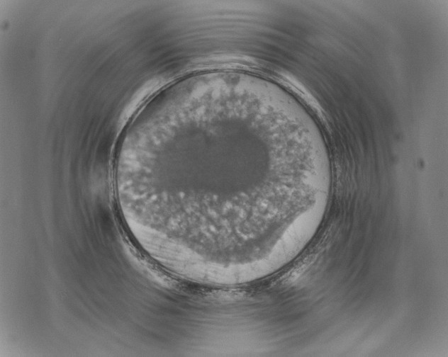 X0000075810994200610151425