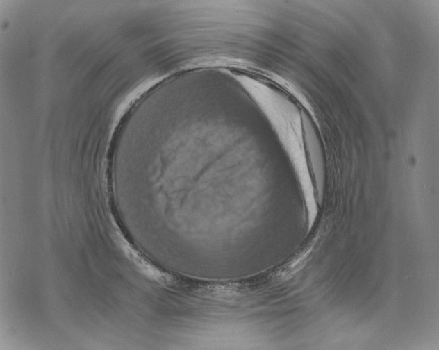 X0000075810995200610151425