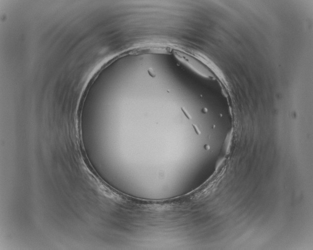 X0000075810996200610151425