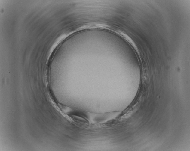 X0000075810997200610151425