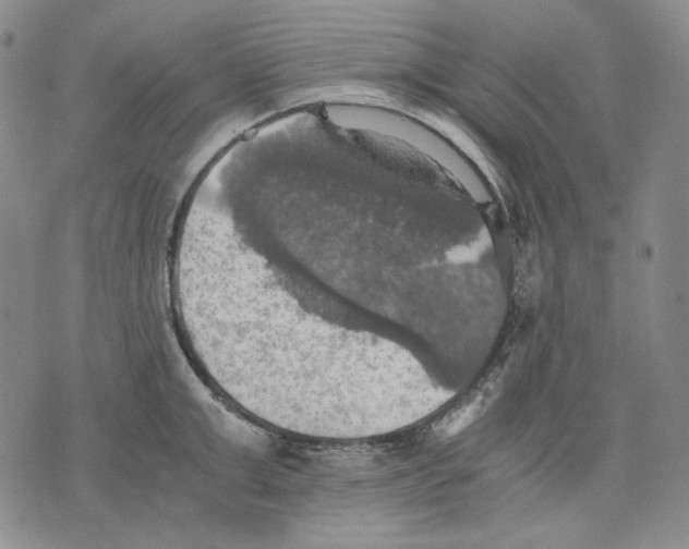 X0000075810999200610151425