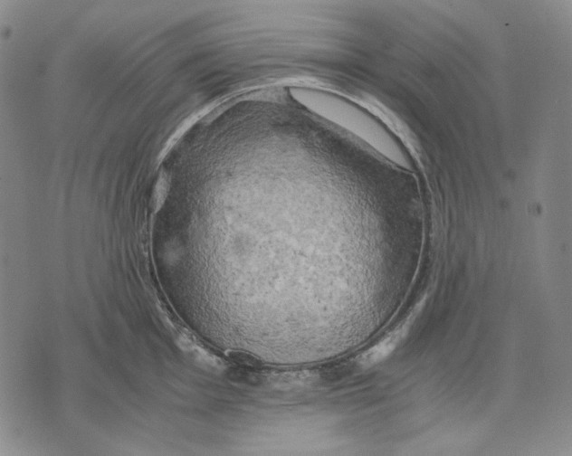 X0000075811001200610151425