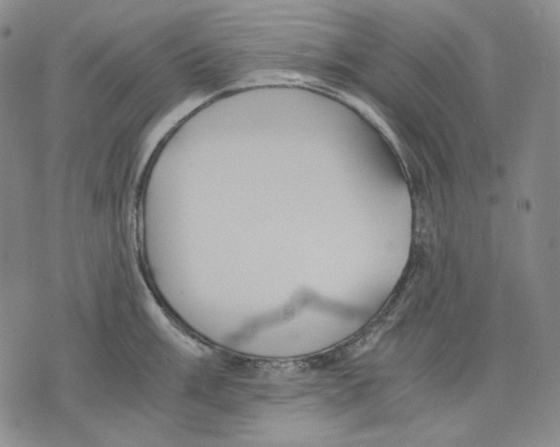 X0000075811003200610151425