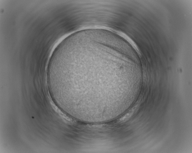 X0000075811004200610151425