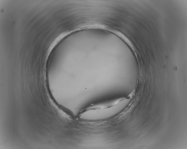 X0000075811005200610151425