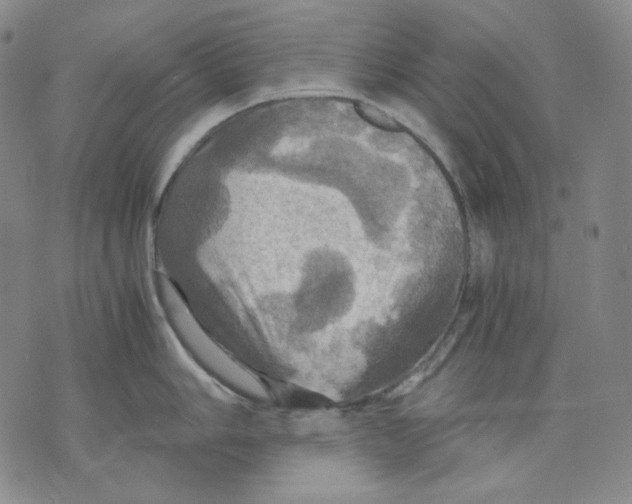 X0000075811006200610151425