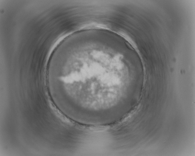 X0000075811008200610151425