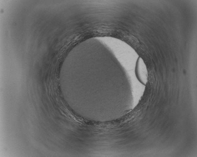 X0000075811009200610151424