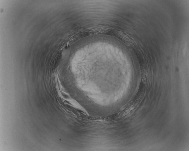 X0000075811010200610151424