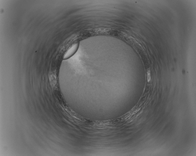 X0000075811011200610151424