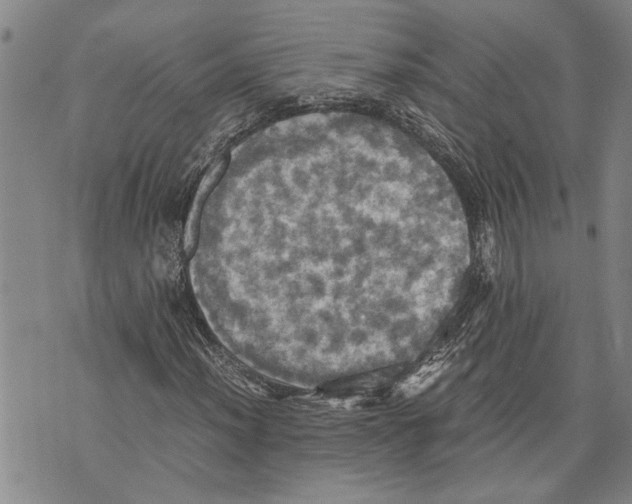 X0000075811012200610151424