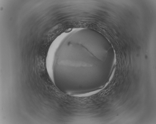 X0000075811013200610151424