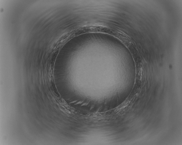 X0000075811014200610151424