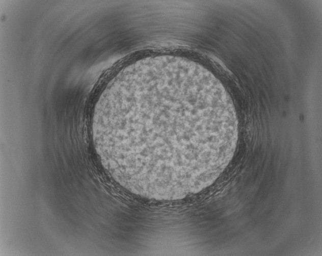 X0000075811016200610151424