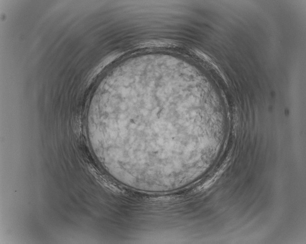 X0000075811017200610151424