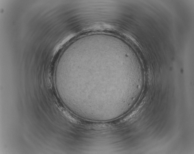 X0000075811018200610151424