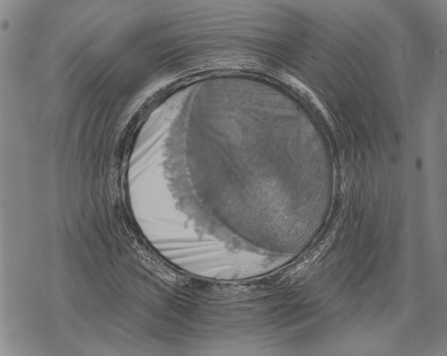 X0000075811019200610151424