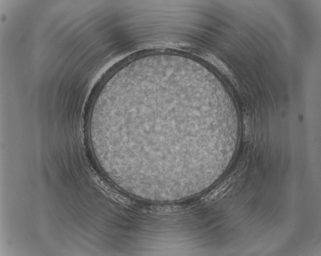 X0000075811020200610151424