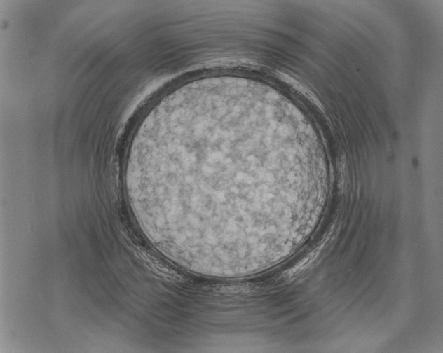 X0000075811021200610151424