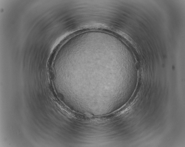 X0000075811022200610151424