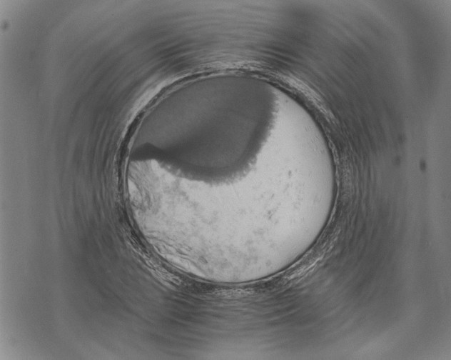 X0000075811023200610151424