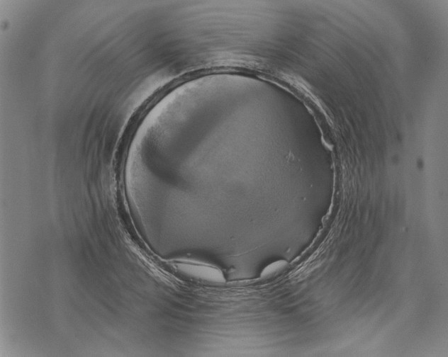 X0000075811024200610151424