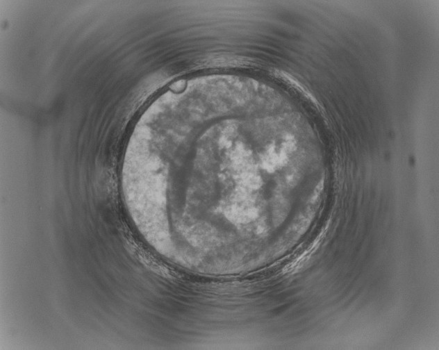 X0000075811025200610151424