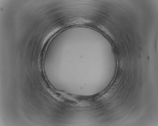 X0000075811026200610151424