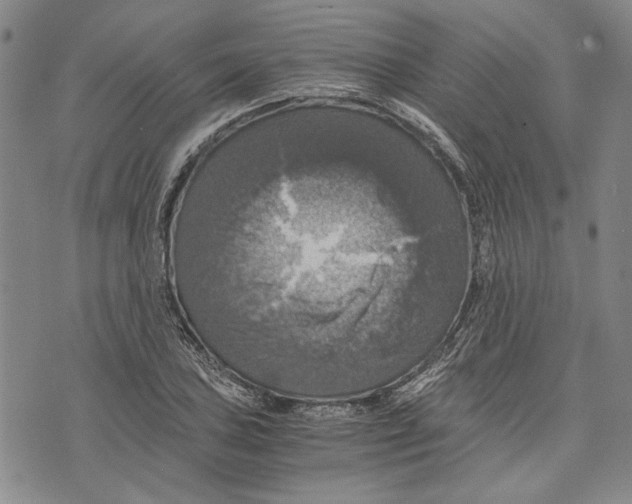 X0000075811027200610151424