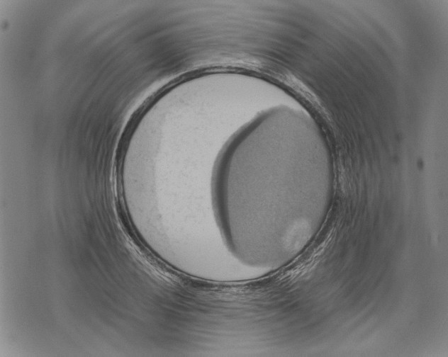 X0000075811028200610151424