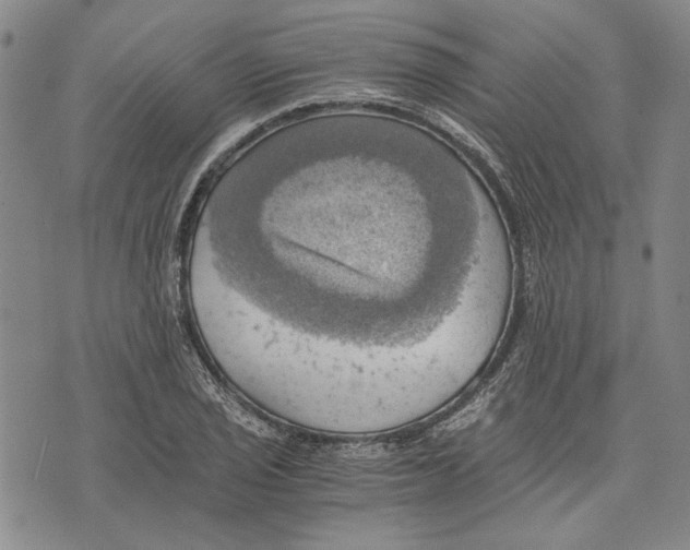 X0000075811029200610151424