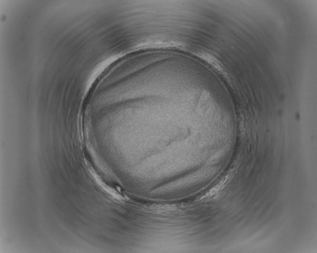 X0000075811030200610151424