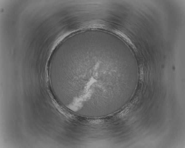 X0000075811031200610151425