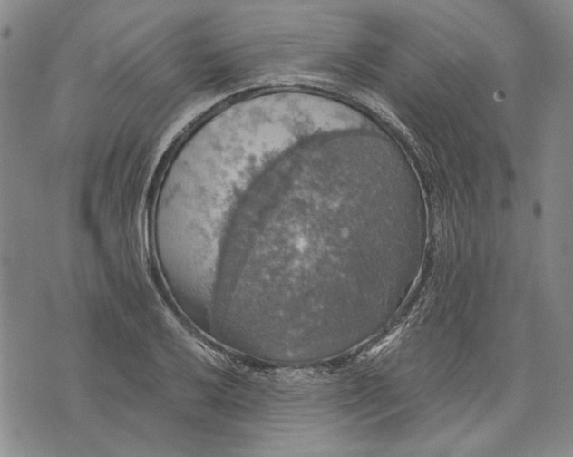 X0000075811032200610151425