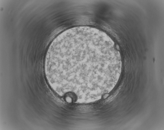 X0000075811033200610151425