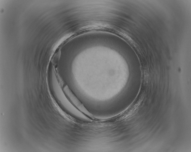 X0000075811034200610151425