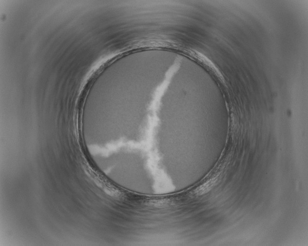 X0000075811035200610151425