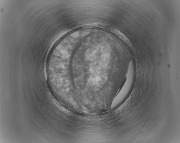 X0000075811036200610151425