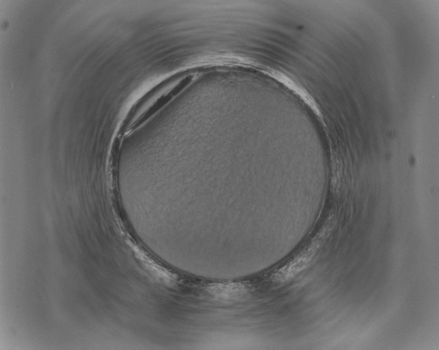 X0000075811037200610151425