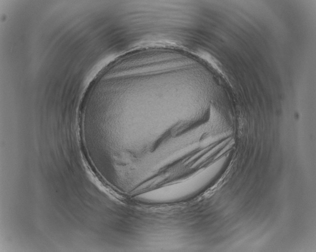 X0000075811038200610151425