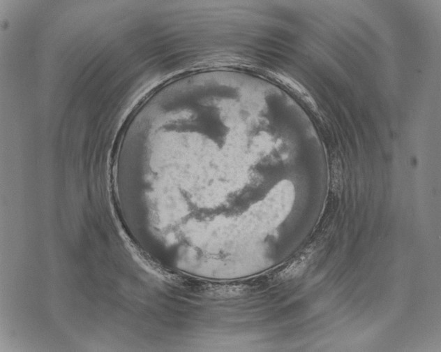 X0000075811039200610151425