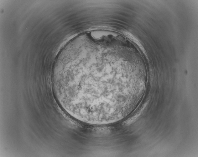 X0000075811041200610151425