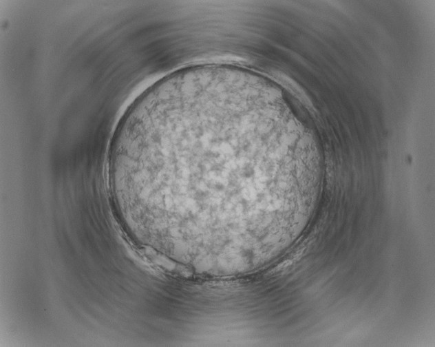 X0000075811044200610151425