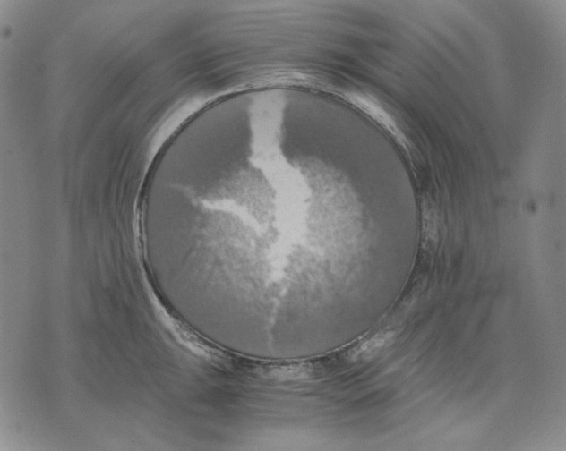 X0000075811047200610151425