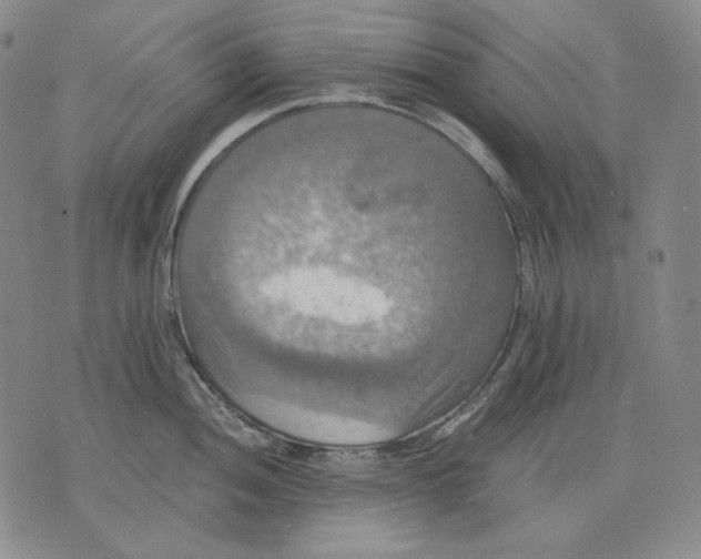 X0000075811052200610151425